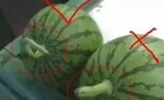 吃瓜娱乐号怎么做起来的,揭秘其崛起之路