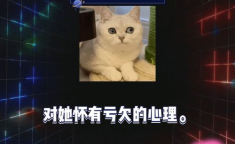 娱乐圈吃瓜游戏推荐,揭秘明星背后的那些“瓜”