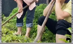 娱乐八卦吃瓜群众,揭秘明星幕后故事，吃瓜群众狂欢时刻