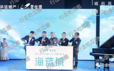 娱乐吃瓜报道文章素材,明星们的幕后故事大揭秘！