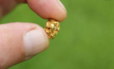 一克黄金多少钱,一克黄金价值几何？”