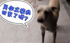 每天看娱乐吃瓜的说说,跟随热点，畅享娱乐圈风云变幻