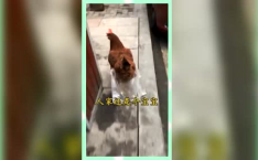 吃瓜群众的娱乐网名大全,吃瓜群众娱乐网名大全，笑料百出！