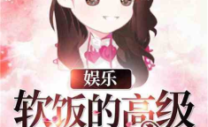 娱乐吃瓜酱吃饭小说,饭圈风云下的小说世界