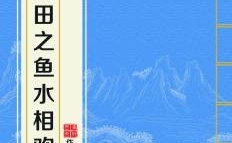 种田之鱼水相欢,和谐共生的田园牧歌