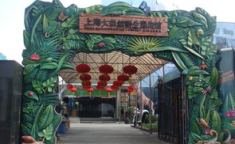 上海大自然野生昆虫馆,上海大自然野生昆虫馆全景解读
