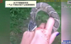 女人梦见被蛇咬,女人梦见被蛇咬的深层含义与心理解读