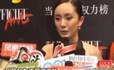 娱乐圈吃瓜会长,揭秘明星背后的故事与真相