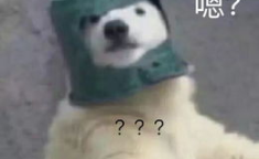 羊了个羊娱乐吃瓜,娱乐吃瓜，揭秘网络爆款游戏背后的故事